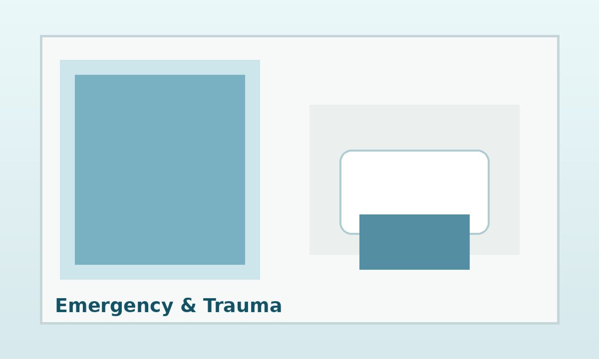 Emergency and hospital care